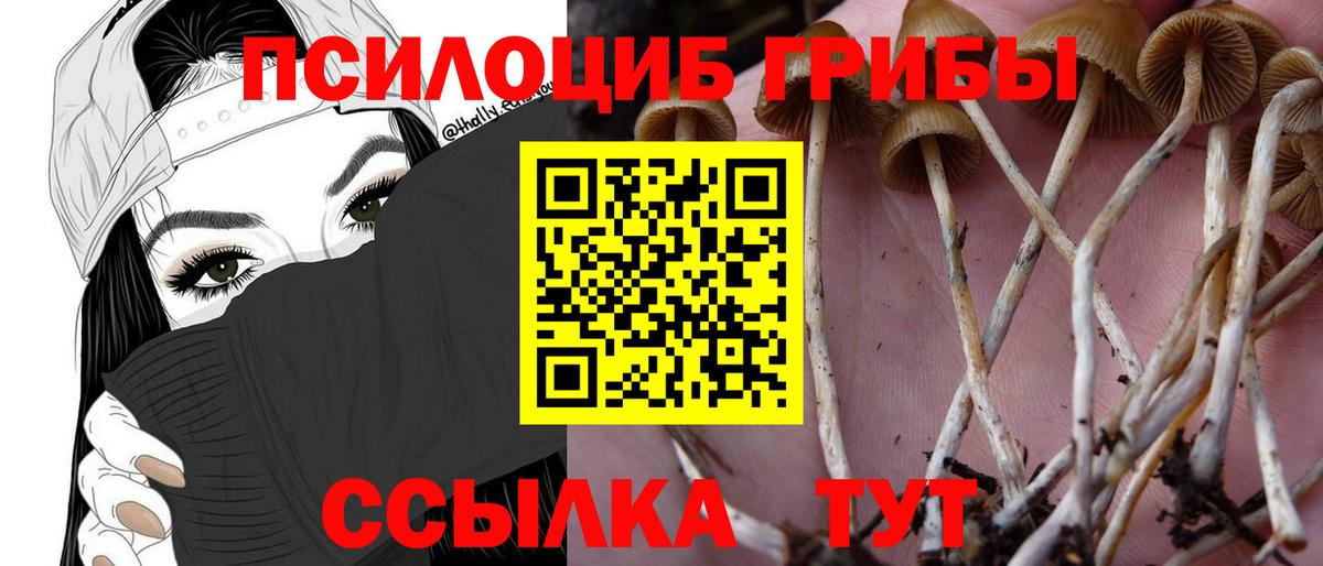 Псилоцибиновые грибы мицелий Лянтор